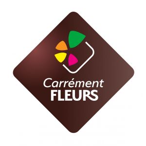 CARREMENT FLEURS